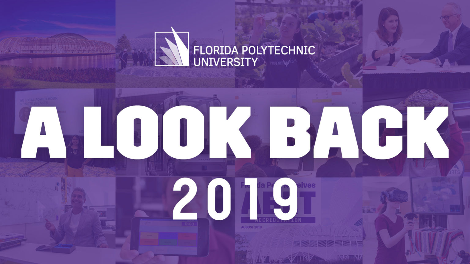 2019 Look Back graphic