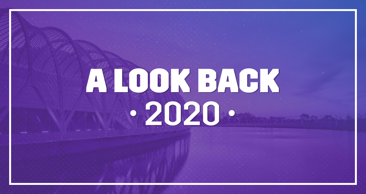 2020 look back